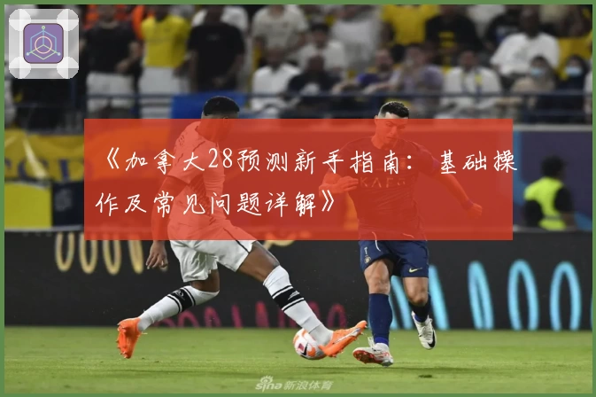 《加拿大28预测新手指南：基础操作及常见问题详解》