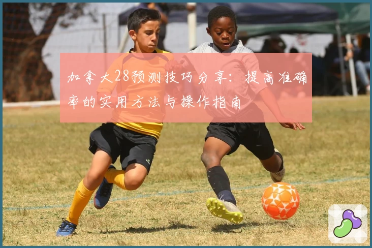 加拿大28预测技巧分享：提高准确率的实用方法与操作指南