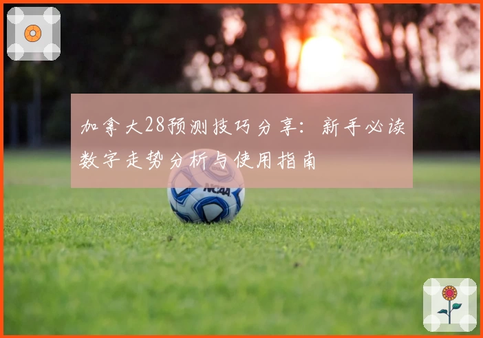 加拿大28预测技巧分享：新手必读数字走势分析与使用指南