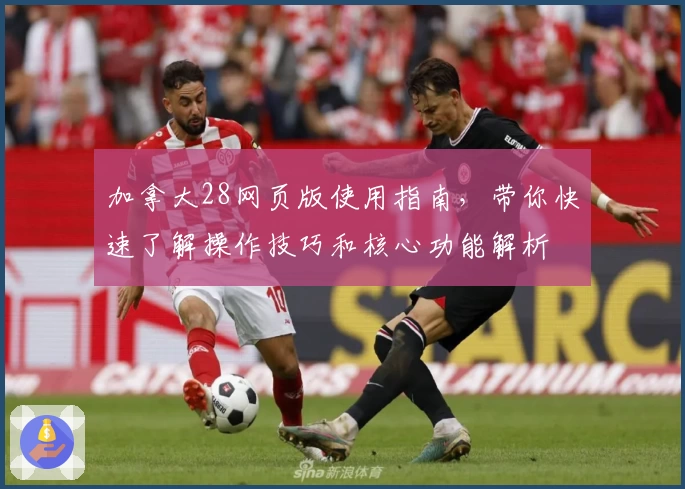 加拿大28网页版使用指南，带你快速了解操作技巧和核心功能解析