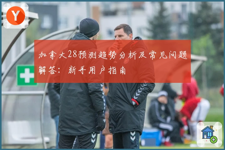 加拿大28预测趋势分析及常见问题解答：新手用户指南