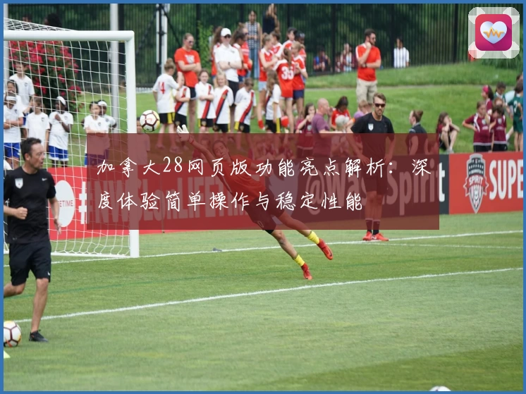加拿大28网页版功能亮点解析：深度体验简单操作与稳定性能