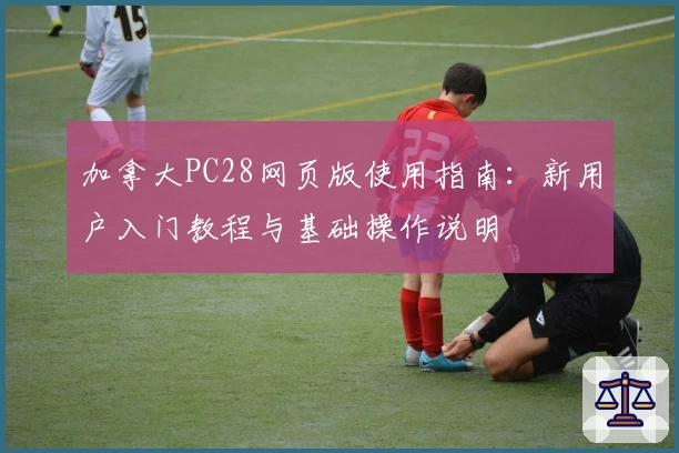 加拿大PC28网页版使用指南：新用户入门教程与基础操作说明