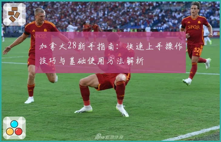 加拿大28新手指南：快速上手操作技巧与基础使用方法解析